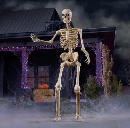 12' Skeleton serial # 81664